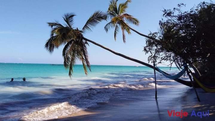 شقة Maceió  في Solemar المظهر الخارجي الصورة